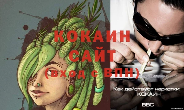 стаф Пересвет